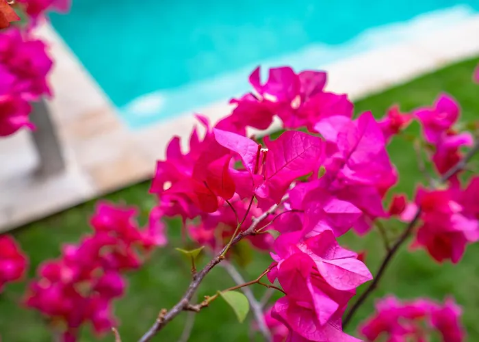 Villa Bingin Luxury, Concierge And Security Uluwatu (Bali)